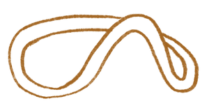 Every Day Collective Co.